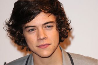 So Harry Styles Wins The Best Brother Ever Award