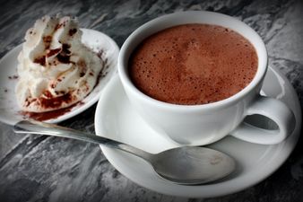 Good News! Cocoa May Help Prevent Memory Decline