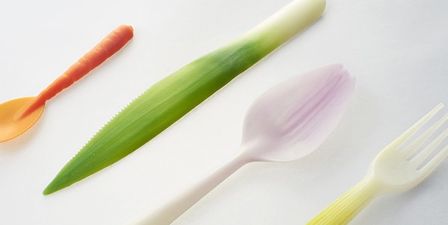 Inspired by Food: Designer Creates Tableware to Look like Real Vegetables