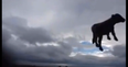 VIDEO: First Tornado Captured In Ireland
