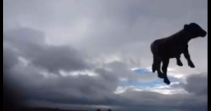 VIDEO: First Tornado Captured In Ireland