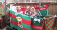 Video: Mayo Fever in Melbourne! Excited Fans Prepare for the All-Ireland