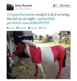 PICTURE: Cork Man Plans To Show Pony Around Coppers This Weekend