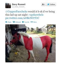 PICTURE: Cork Man Plans To Show Pony Around Coppers This Weekend
