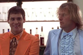 “I Took Care Of It! Eleven Of The Best Lines From The Classic Dumb And Dumber