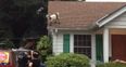 You’ve Got To Be Kidding – Police Warned To Stay Clear Of Angry Goat