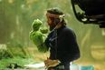 “It’s Not Easy Being Green” Twelve Of The Greatest Quotes From Kermit The Frog