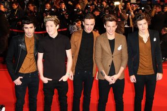 Secretly Dating For Months? One Directioner Spotted With His Ex