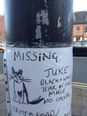 PICTURE: The Most Artistic Missing Cat Poster You’ll Ever See
