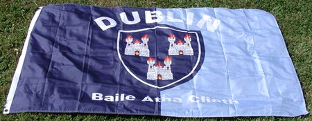 Photo: Uh-oh! This Dublin Fan is Definitely Not Going to be Happy When He Gets Home