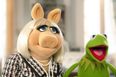 The Muppets Sing a 1D Tribute – And It’s Pretty Good!