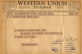 GALLERY – Artist Reformats Tweets As Telegrams, Makes Tweets Look Ridiculous