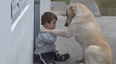 VIDEO: This Will Melt Your Heart – Dog Befriends Adorable Little Boy