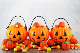 Photo: Neighbour Hands Out Shaming Letters to Overweight Kids on Halloween