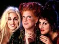 Stop Everything! Could a Hocus Pocus Sequel Finally Be Happening?!