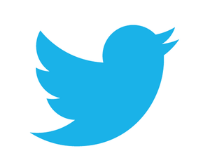 Photo: Senior White House Advisor Has One of the Worst Typo Moments Ever