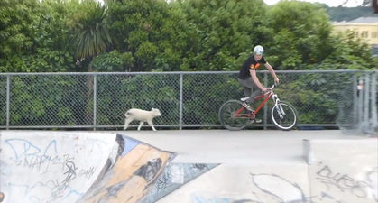 Video: Only in New Zealand? Man Takes his Pet Lamb to Skate Park
