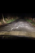 Photo: Someone in Carlow Really Isn’t Happy About the State of the Irish Roads