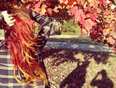 PICTURE: Vanessa Hudgens Shows Off New Autumnal Do