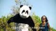 VIDEO – This Can’t Be For Real, Chinese Food Video May Just Be The New Rebecca Black’s “Friday”