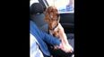 VIDEO – This Dog Cannot Be In A Moving Car… Unless You Hold His Paw
