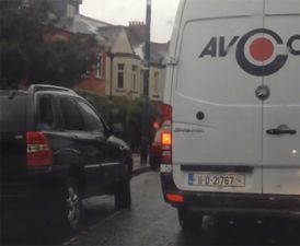 VIDEO: Well This Is A First! Gardai Finding It Tough To Shift A Bird