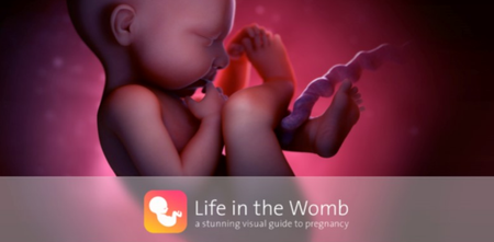 Life In The Womb, New App Gives A Stunning Visual Guide To Pregnancy