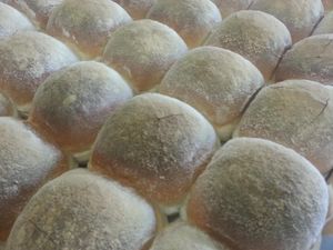 Food for Thought: A Short History of the Waterford Blaa