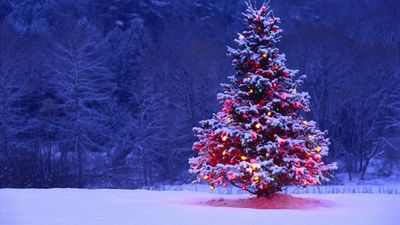 Twelve Random Facts You May Not Have Known About Christmas