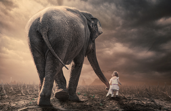 Gallery: Artist Digitally Manipulates Photos Of Children And Animals To Create Amazing Surreal Images