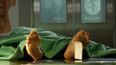 Out Cold: Drunk Man Wakes Up To Find Himself In A Body Bag
