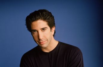 GALLERY – “My Sandwich!!!” Twelve Of The Finest Quotes From Dr. Ross Geller
