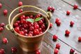 Deliciously Sweet: How-To Make That Perfect Cranberry Sauce