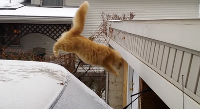 Kitchen Cook-Off: Her.ie and JOE.ie Go Head To Head