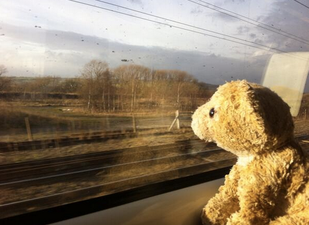 PICS: Woman’s Epic Adventure With Little Girl’s Lost Teddy Bear Goes Viral
