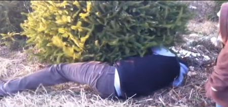 Watch: A Dad’s Desperate Attempt to Cut Down a Christmas Tree