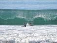 PICTURE – Well, Don’t Look Behind You. Shark Photobombs A Couple of Surfers