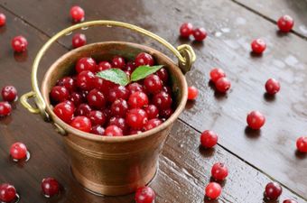 Slimmer Waist, Healthy Body: Research Reveals the Health Benefits of the Humble Cranberry