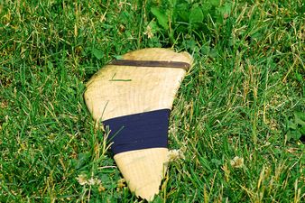 Pic Of The Day: Fantastic Action Shot From Waterford Crystal Cup Hurling Match Goes Viral