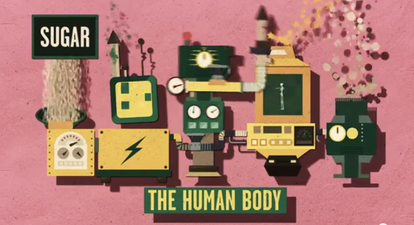 VIDEO: What Sugar Actually Does To Your Brain