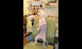 VIDEO – We Can’t Stress This Enough, You Need To See This Dog Dance
