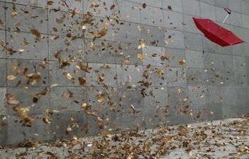 Big Plans For The Weekend? You Might Want To Read This First…