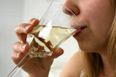 Busting A Myth – Apparently Alcohol Doesn’t Actually Kill Brain Cells
