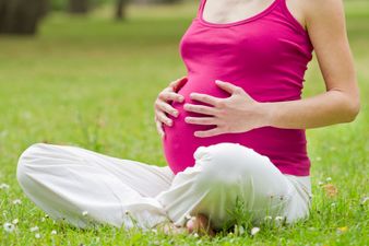 Spotlight On: Trying To Get Pregnant? Read On…