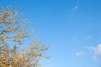 Spring Has Sprung – There Is Just So Much To Look Forward To!