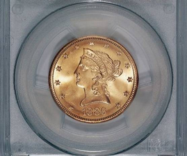 Couple In California Takes Their Dog Out For A Walk And Finds Treasure