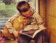 Children Reading Stories To Homeless Cats Might Just Be The Cutest Thing Ever…