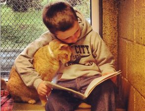 Children Reading Stories To Homeless Cats Might Just Be The Cutest Thing Ever…