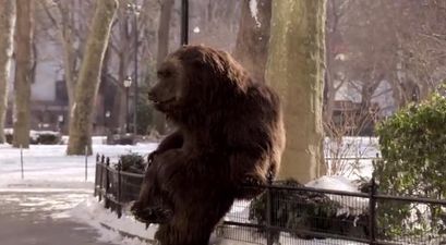 VIDEO – Man Dressed Up As Giant Bear Goes Around Scaring People In NYC