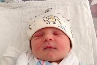 Jason Biggs and Wife Jenny Mollen Welcome First Child